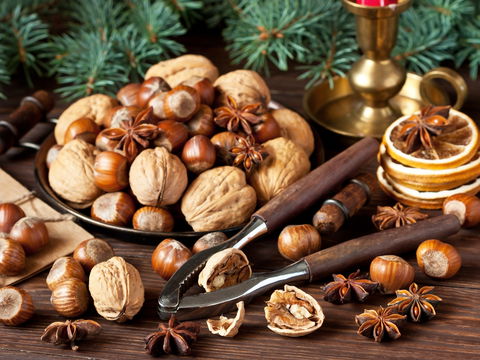 Gesundheitsgefahr: Darum dürfen Sie bittere Nüsse nicht essen