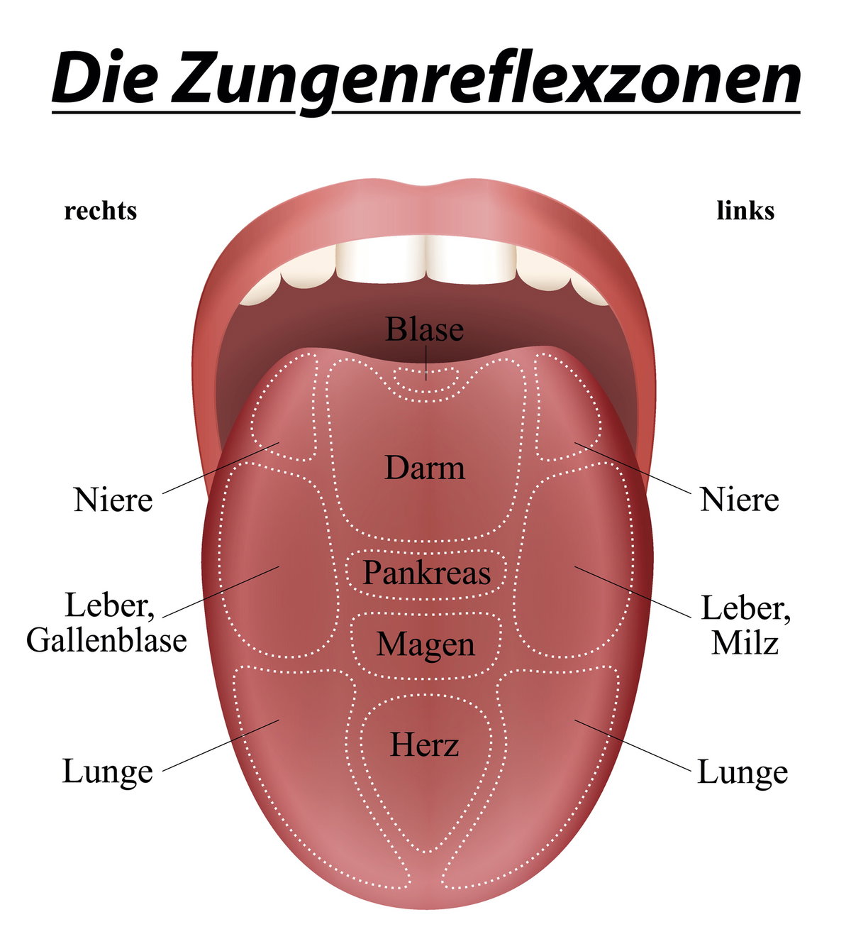 Zungenreflexzonen