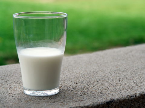Soja, Mandel, Hafer oder Kuh: Welche Milch ist am besten?