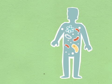 Stärken Sie Ihre Mitochondrien mit diesen drei Ernährungstipps