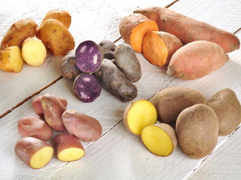 Kartoffel vs. Süßkartoffel: Welche ist gesünder?