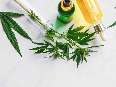 CBD für Sport und Fitness: 7 Gründe, warum CBD hilft