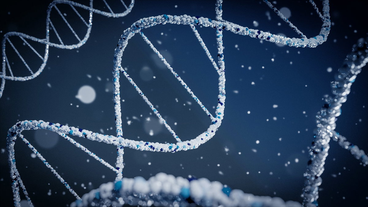 DNA-Doppelhelix