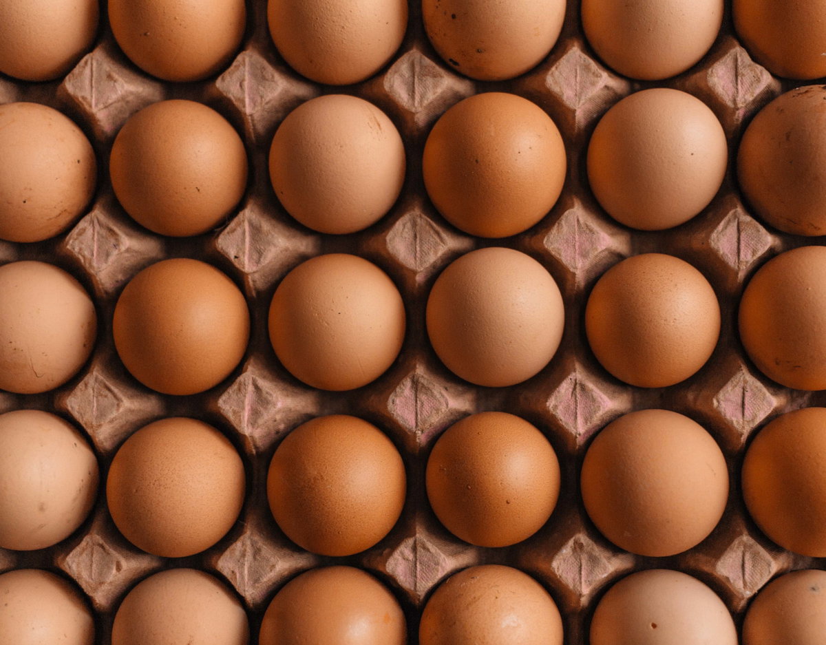 Eier