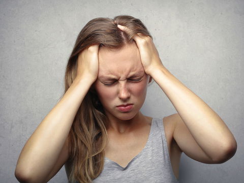 Q-Fieber: Wie gefährlich ist die Infektion?