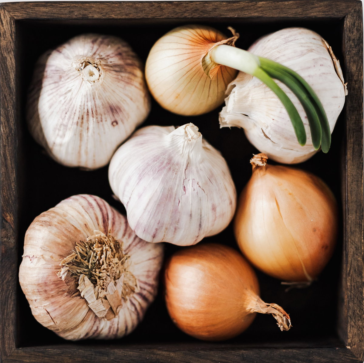 Zwiebeln und Knoblauch