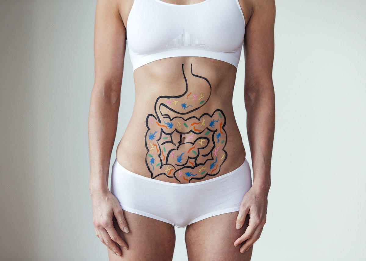 Bauch mit aufgemalten Verdauungsorganen und Darmflora