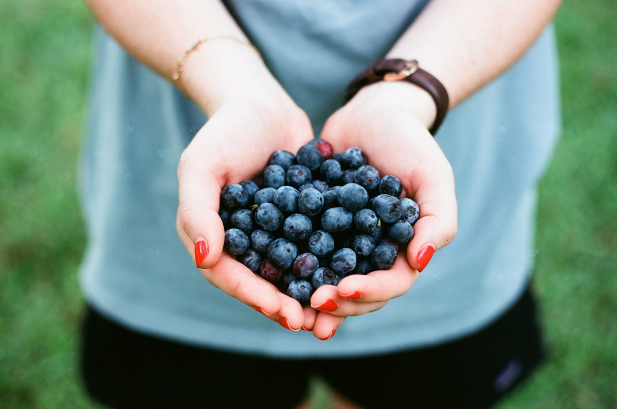 Heidelbeeren