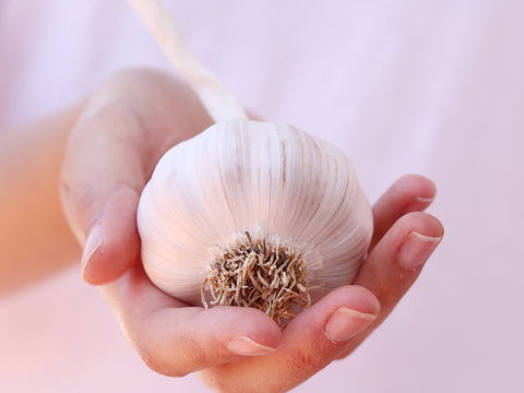 Das passiert, wenn Sie jeden Tag Knoblauch essen