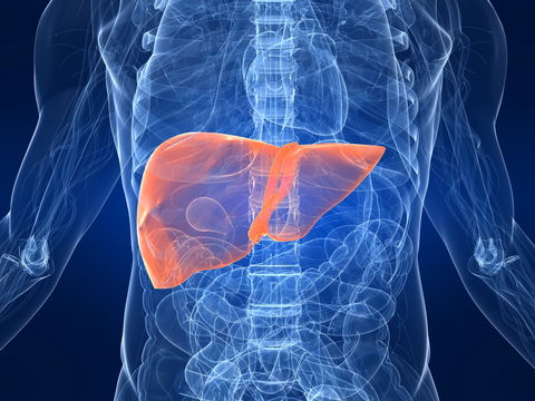 Hepatitis B: Wie ist die Lebenserwartung?