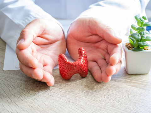 Diese Lebensmittel können einer vergrößerten Schilddrüse vorbeugen