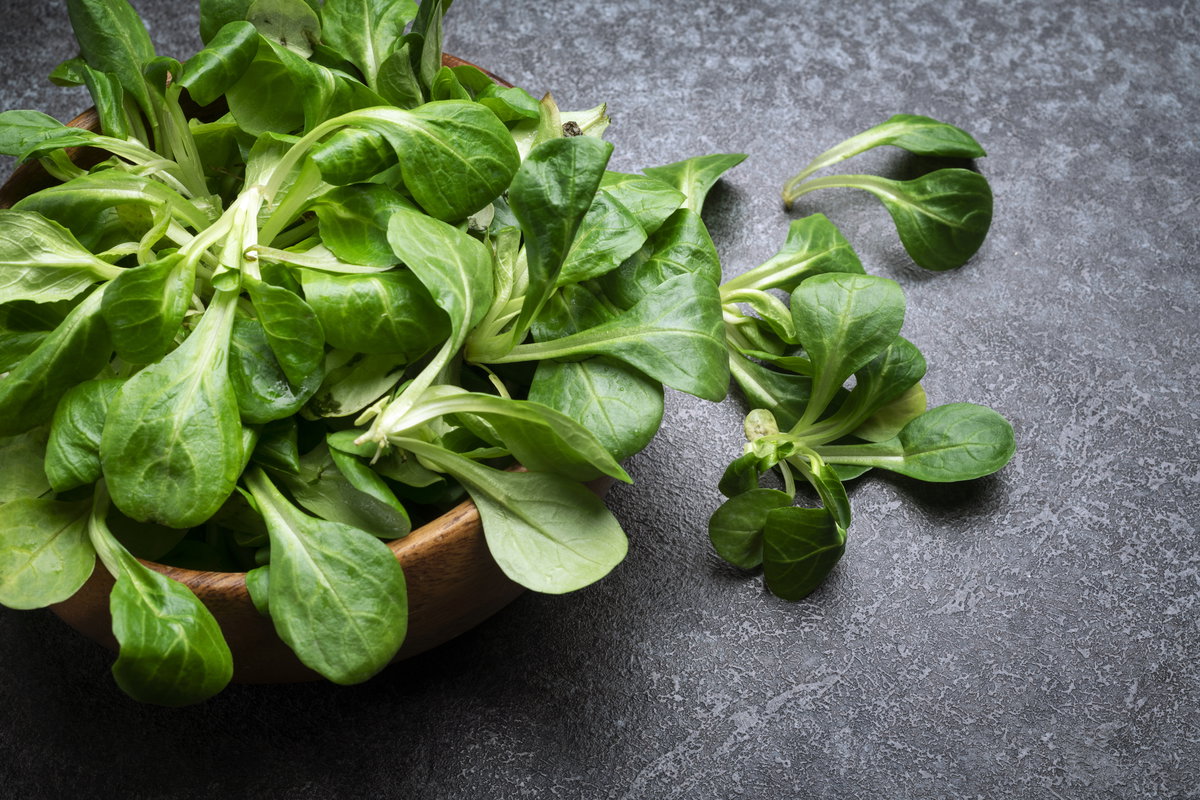 Feldsalat