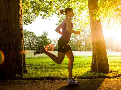 Darmmikrobiom und Sport: Wie eine gesunde Darmflora Leistung und Regeneration fördert