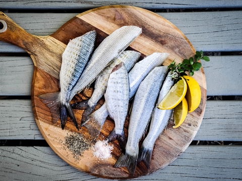 Nachhaltig Fisch essen: Verbraucherschutz veröffentlicht "Guter-Fisch-Liste"