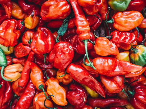 Chili: 5 Vorteile für Ihre Gesundheit