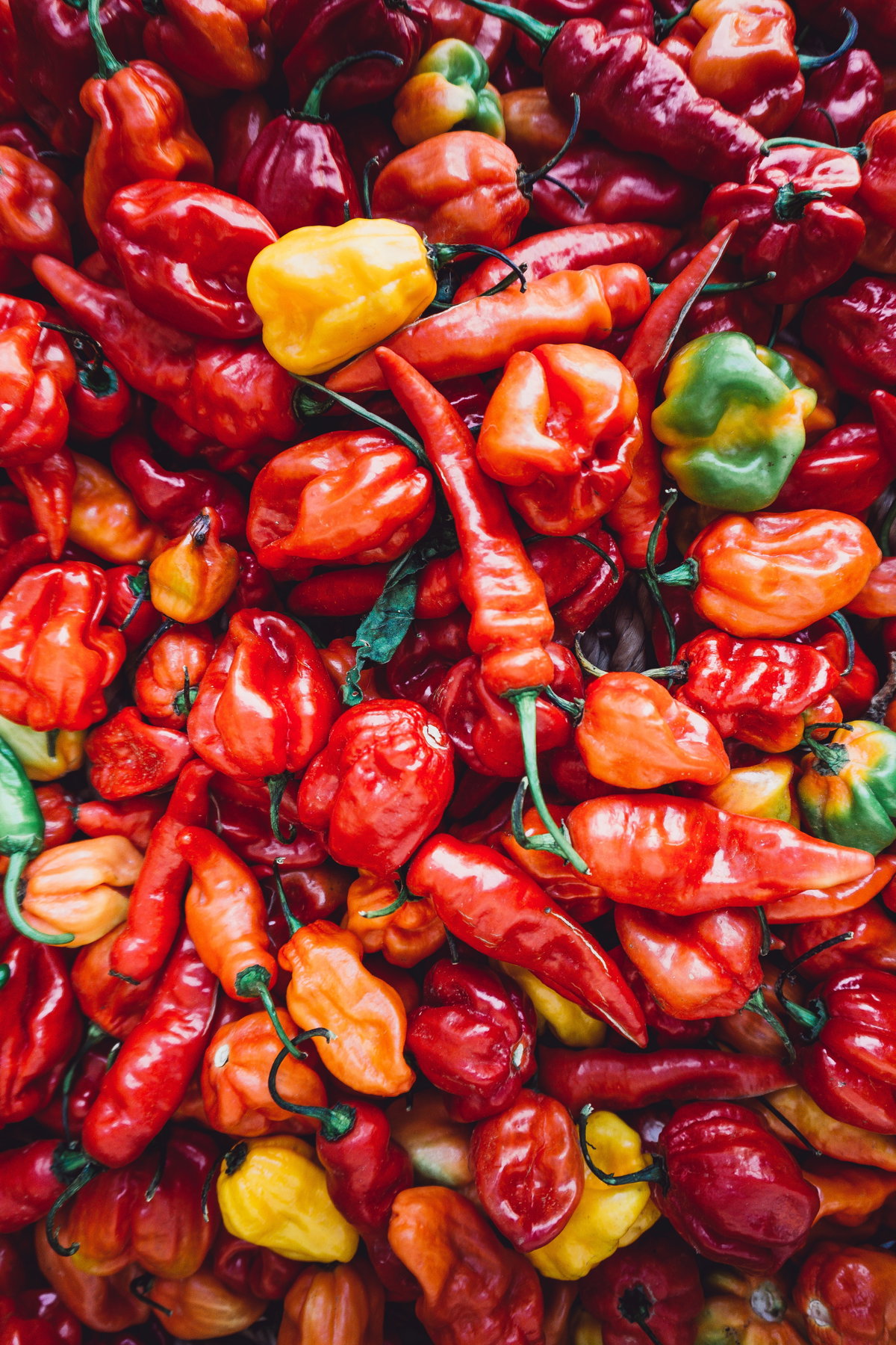 verschiedene Arten Chili auf einem Haufen