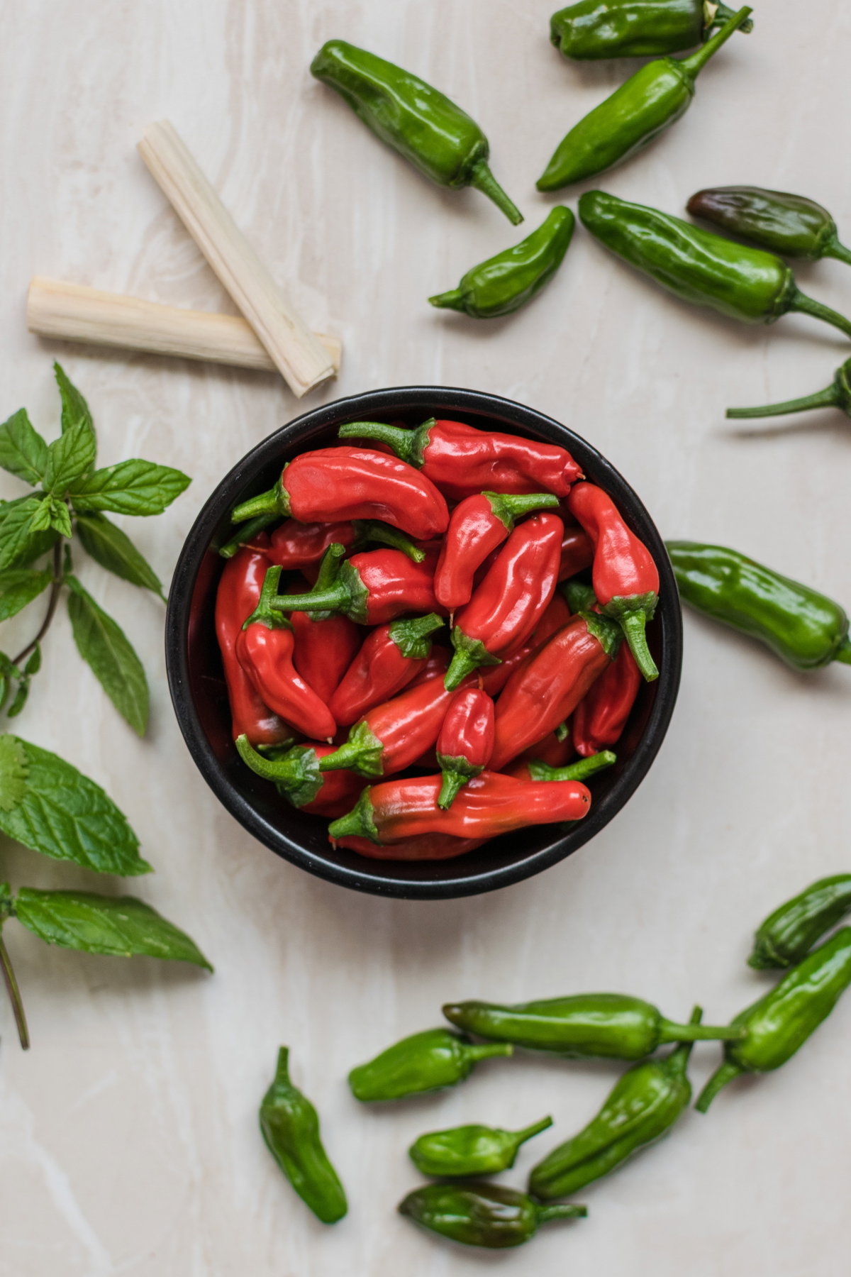 Rote und grüne Chili in Schale