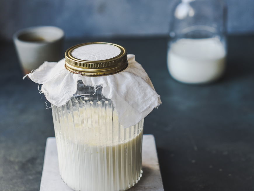 Kefir mit Kefirpilz gärt im Glas
