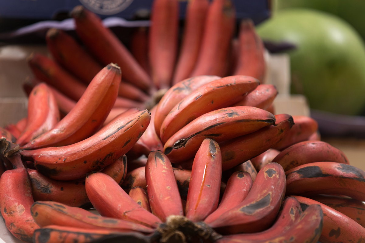 Rote Bananen
