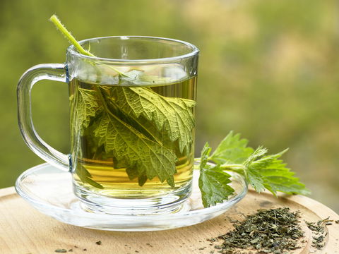 8 gute Gründe, Brennnesseltee zu trinken