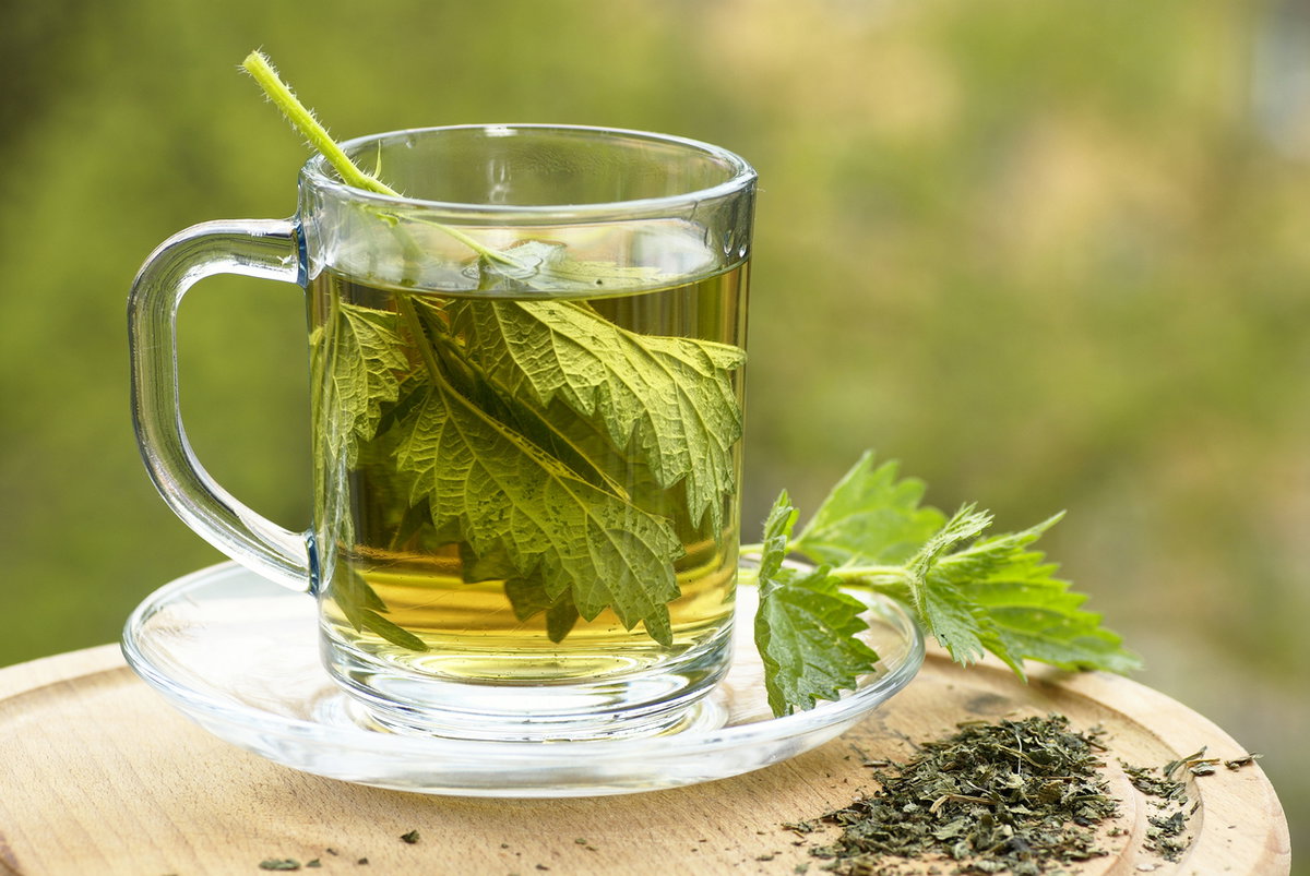 Brennnesseltee aus frischem Blatt