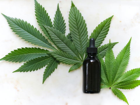 Münchener Start-Up testet CBD und CBG gegen Corona