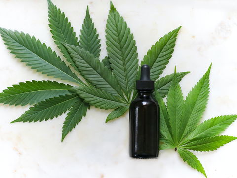 Münchener Start-Up testet CBD und CBG gegen Corona