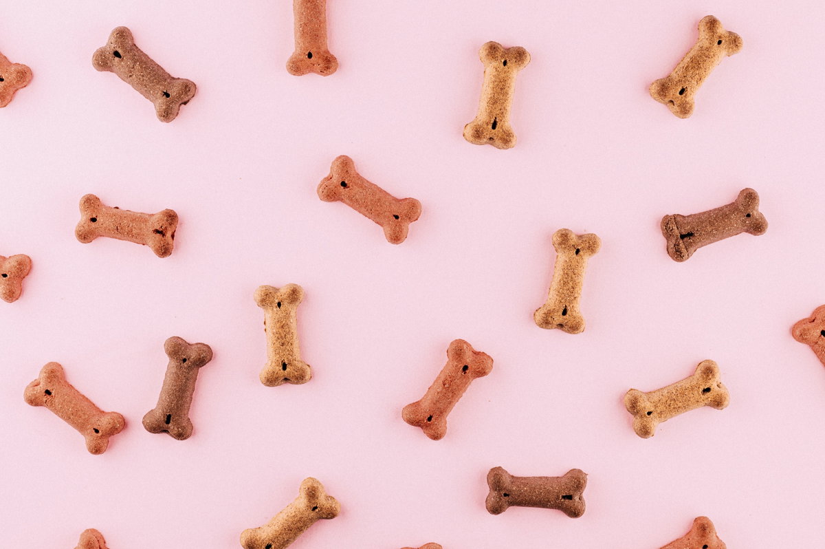 Hundesnacks in Knochenform