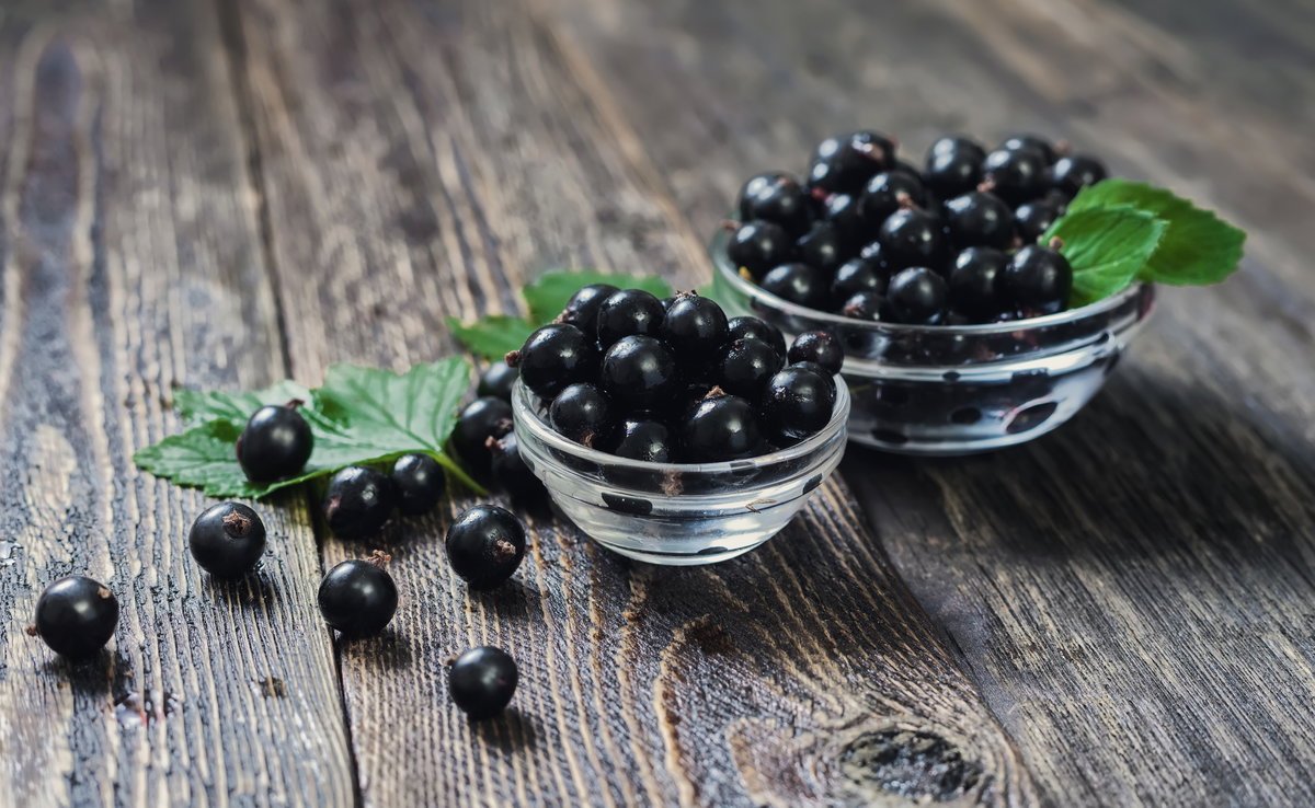 Schwarze Johannisbeeren in Schüssel