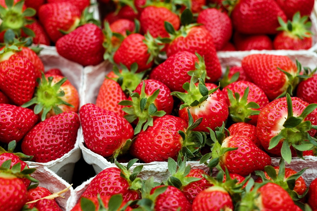 Erdbeeren in Schalen