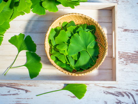 Ginkgotee: 4 Effekte für Ihre Gesundheit