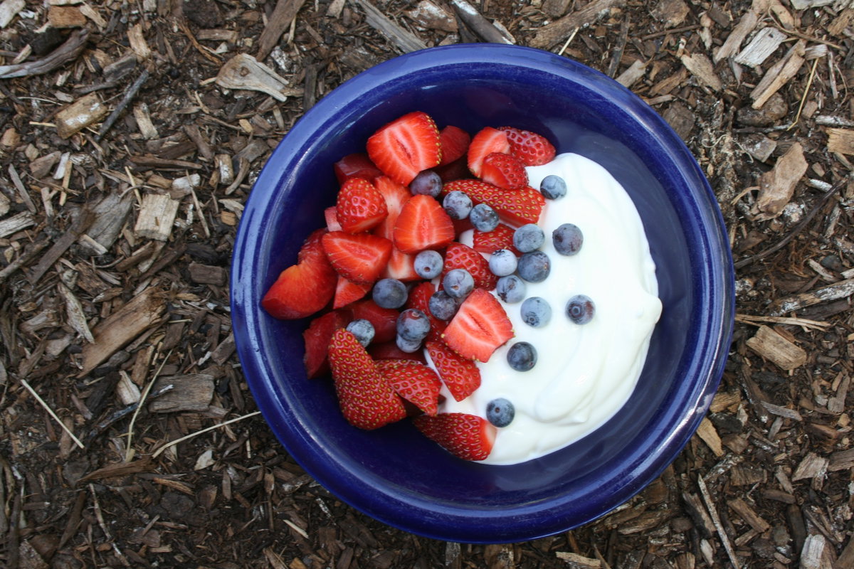Joghurt mit frischen Früchten und Beeren