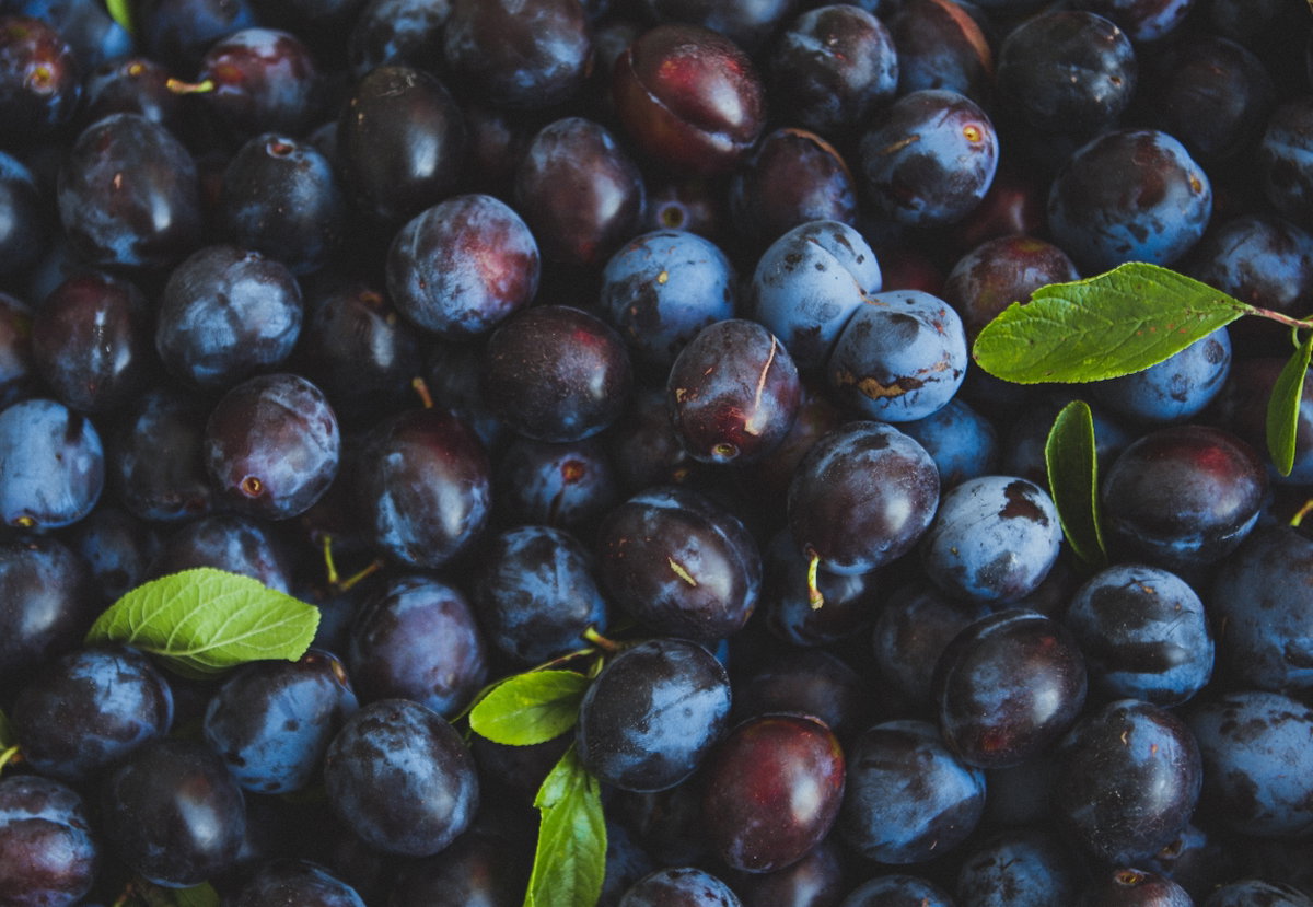 viele blaue Pflaumen auf einem Haufen