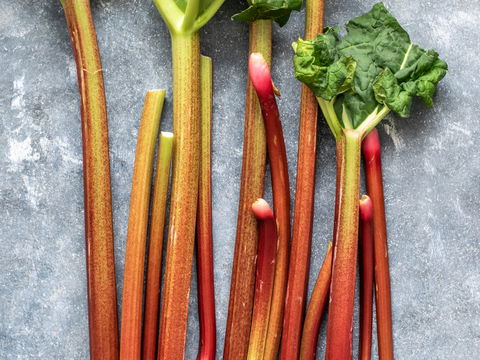 5 Frühlingsgemüse, die jetzt Saison haben – und warum sie besonders gesund sind