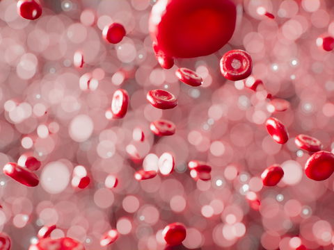 Zu dickes Blut: Ursachen, Symptome und Behandlung