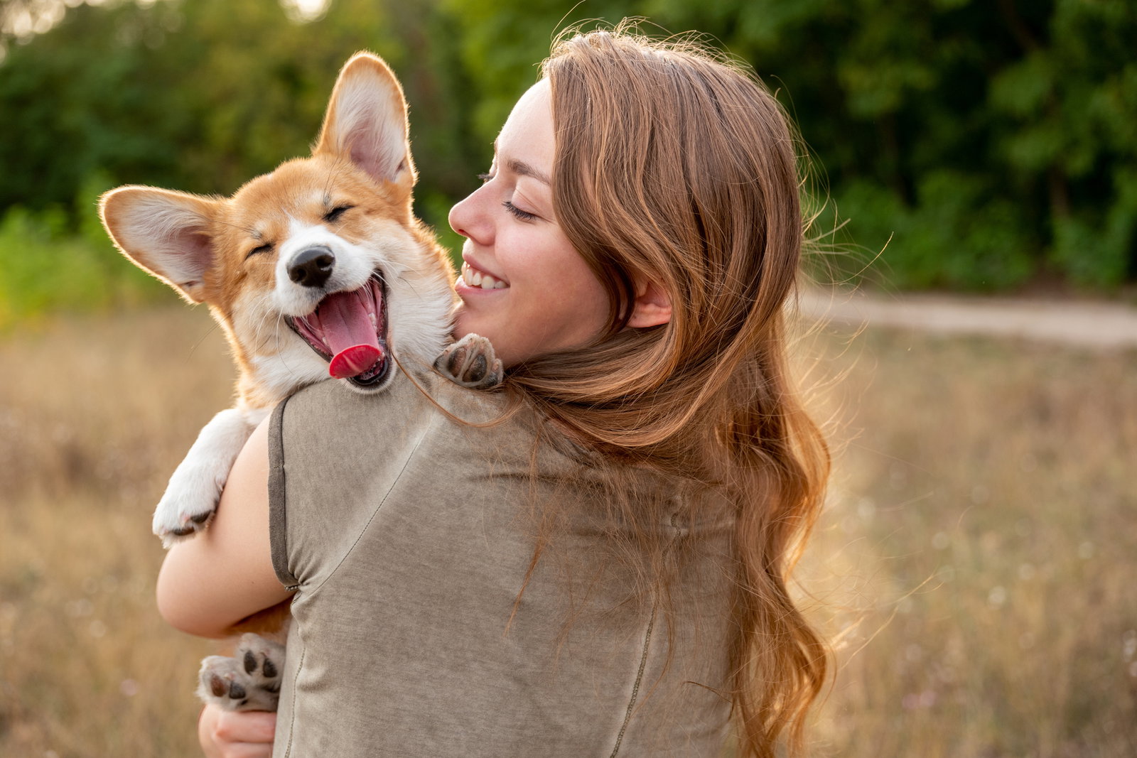 Hanföl für Hunde: Natürliche Power für den Vierbeiner