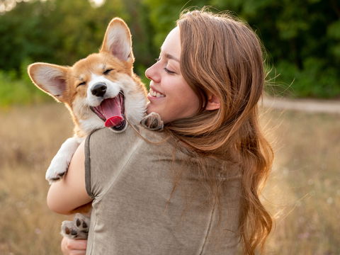 Hanföl für Hunde: Natürliche Power für den Vierbeiner