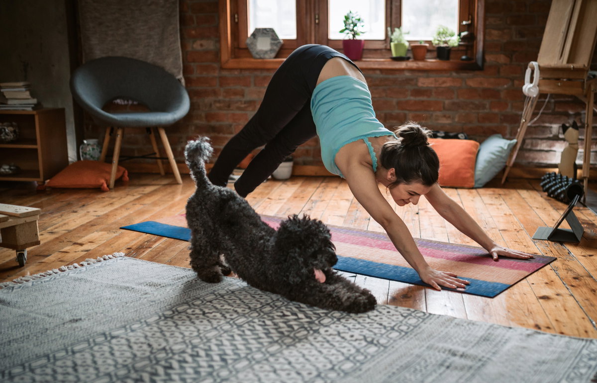 Yoga mit Hund