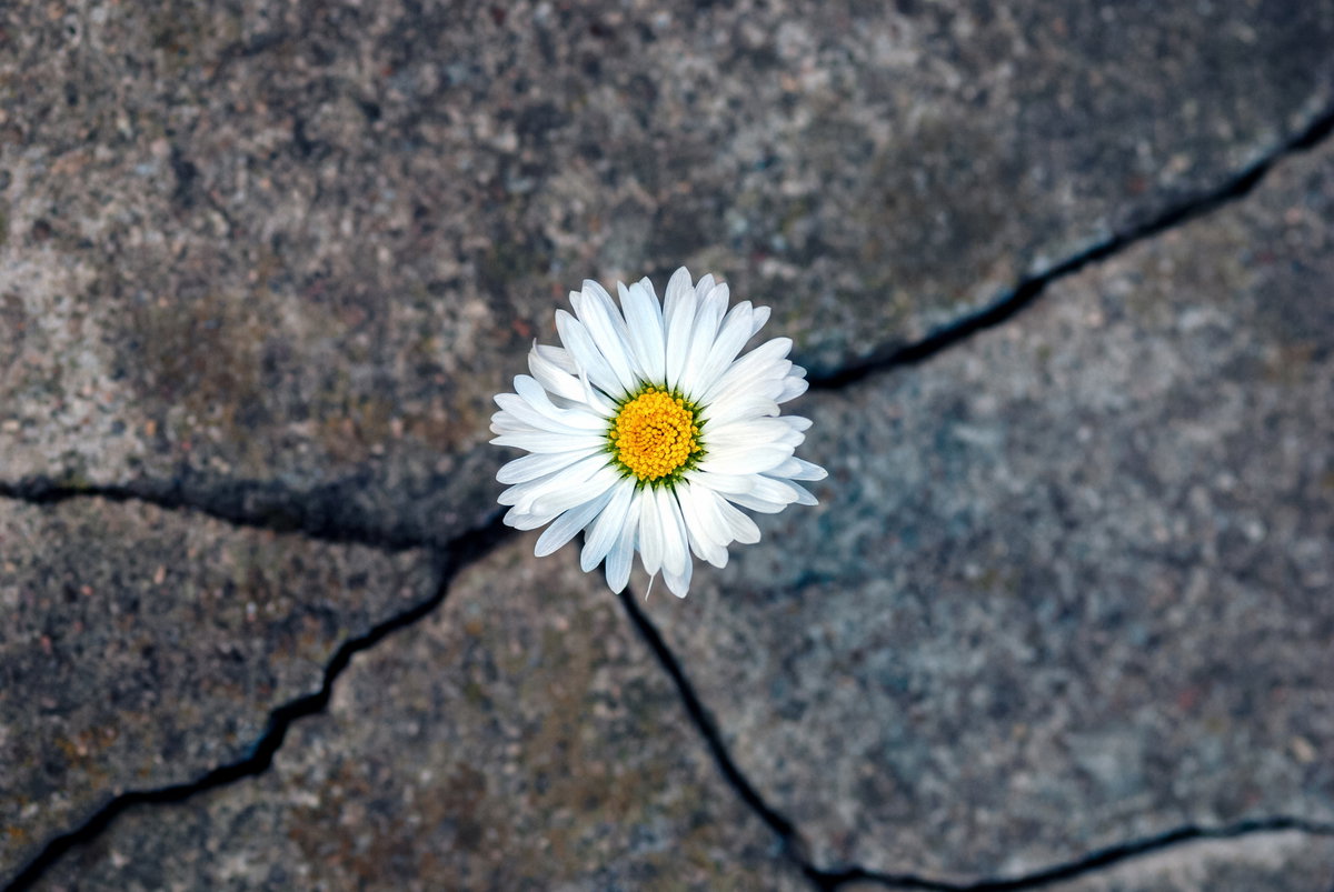 Resilienz stärken