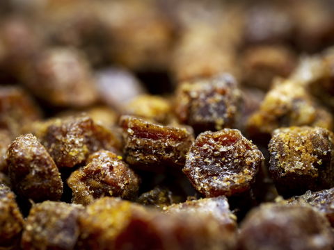6 Dinge, die Sie über den Bienenharz Propolis wissen müssen