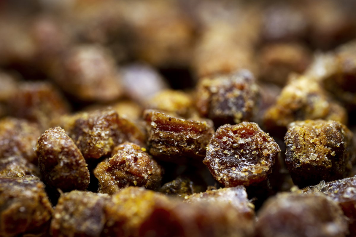 Nahaufnahme von Propolis