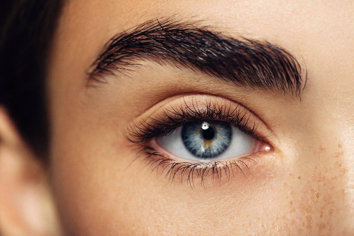 Augenbraue und Auge