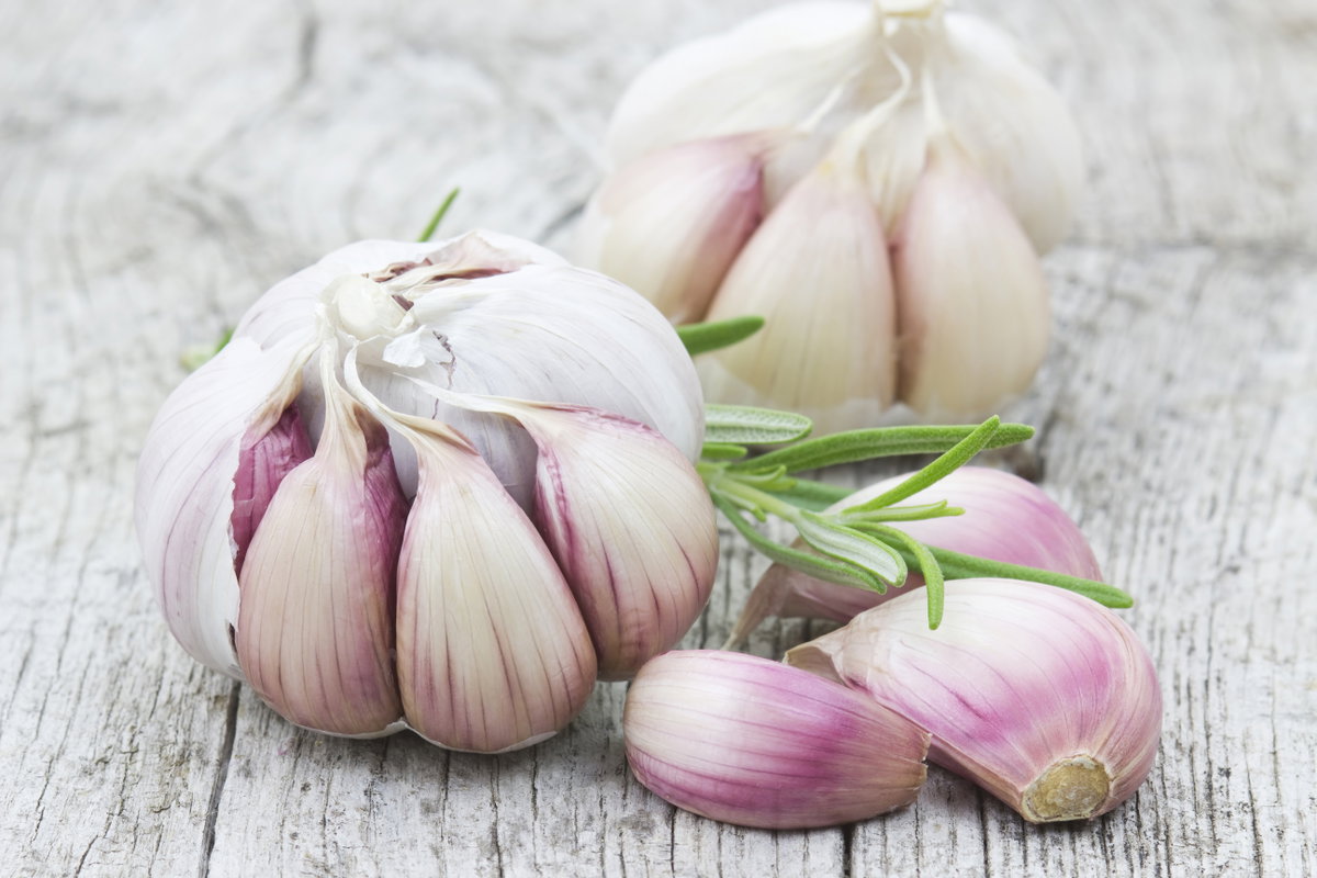 Knoblauch