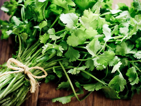 Koriander schmeckt nach Seife? Das ist der Grund