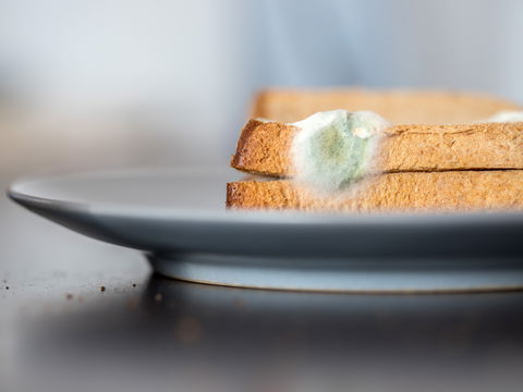 Darum sollten Sie schimmliges Brot KOMPLETT wegwerfen