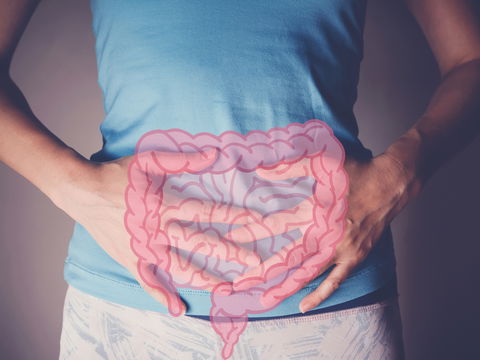 FODMAP-Ernährung: Warum immer mehr Menschen unter einem Reizdarm leiden