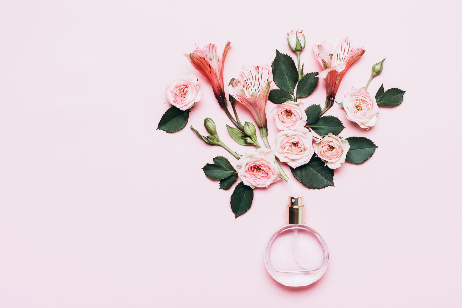 Diese 3 Rosen-Düfte sind perfekt für den Frühling