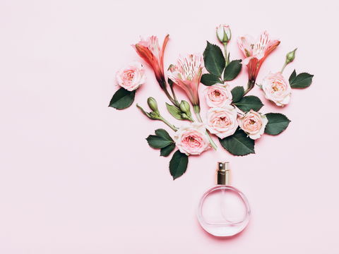 Diese 3 Rosen-Düfte sind perfekt für den Frühling