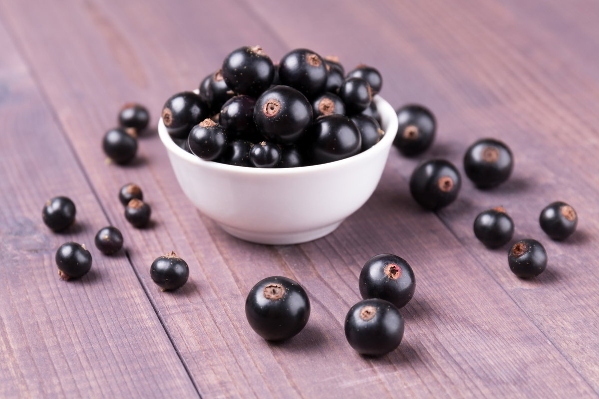 Schwarze Johannisbeeren