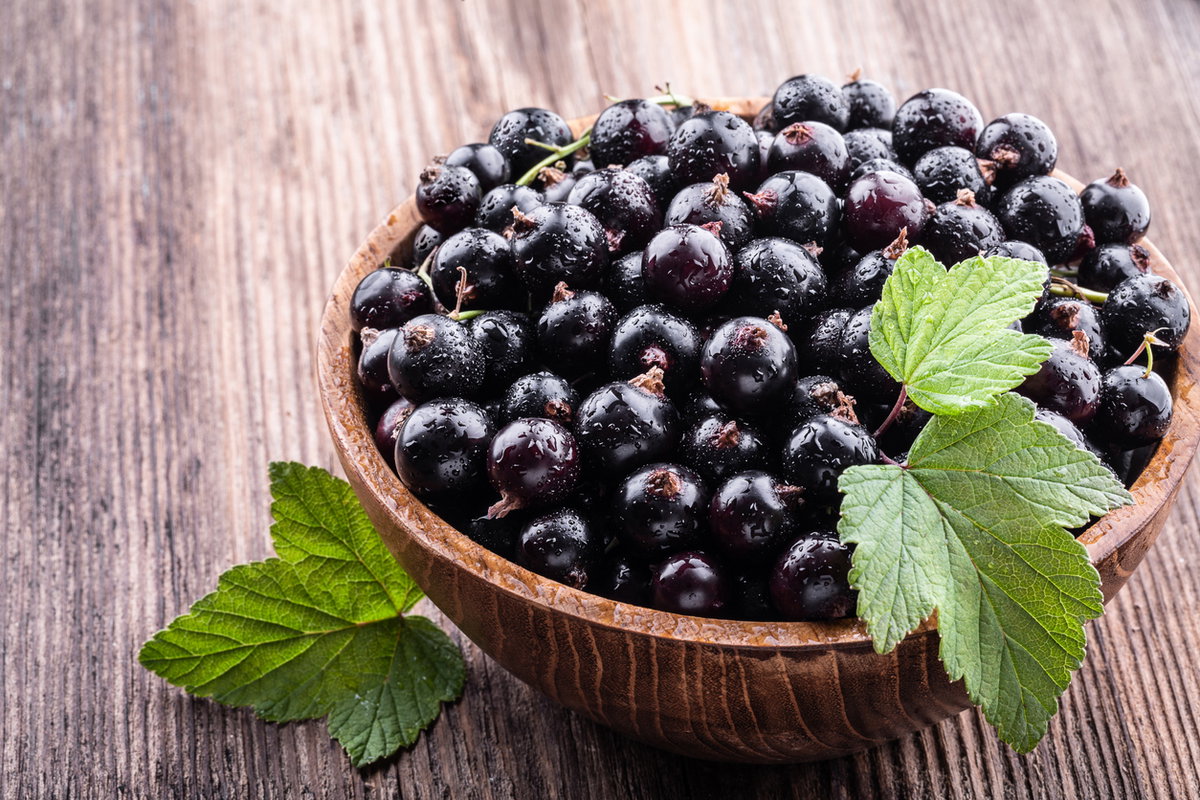 Eine Schale mit schwarzen Johannisbeeren